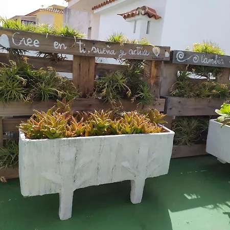 Comodo Estudio En El Norte De Tenerife Appartement